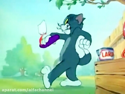 تام و جری قسمت 13