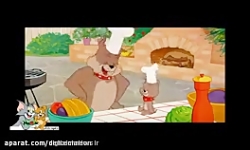 کارتون تام و جری تام و جری