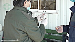 گزارشی از مراحل زنده گیری و ان...