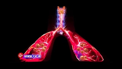 نورپردازی روی برج آزادی با موض...