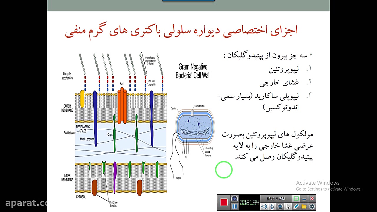 جلسه دوم-میکروبیولوژی پلاسماجت