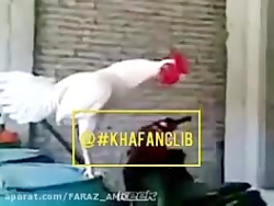 کلیپ خنده دار