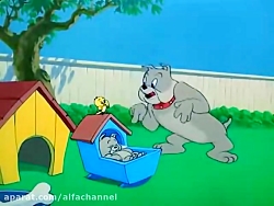 تام و جری قسمت 82