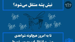 پاسخ سازمان جهانی بهداشت به پر...