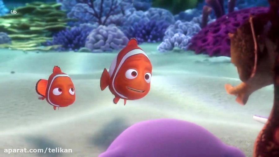 انیمیشن در جستجوی نمو Finding Nemo 2003 با دوبله فارسی