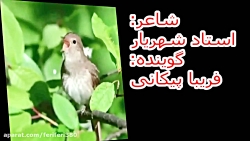 شعری از استاد شهریار