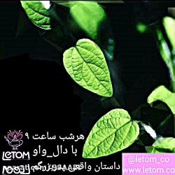 داستان واقعی