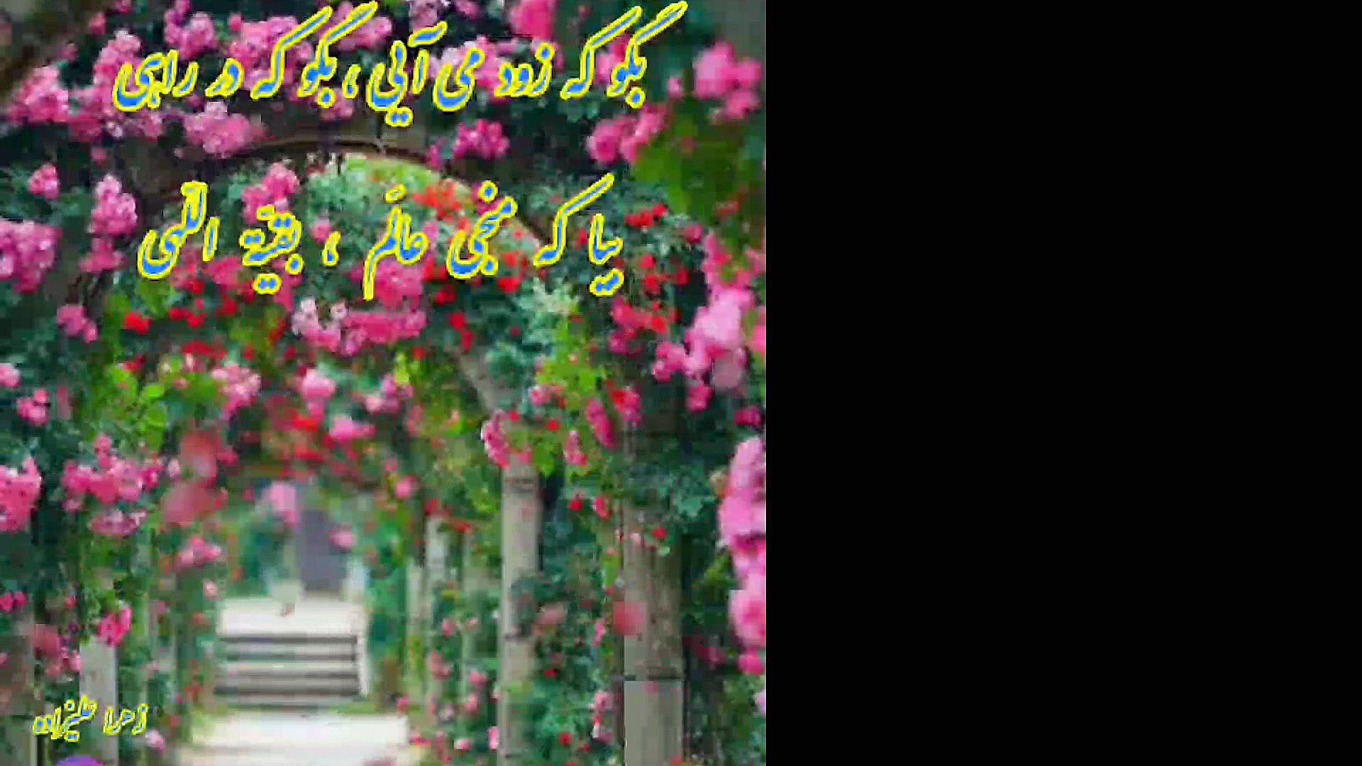 تبریک میلاد امام زمان _ نیمه شعبان ۹۹ زهرا علیزاده
