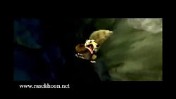 عصر یخبندان:سنجاب و بلوط قسمت...