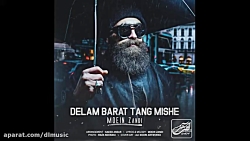 معین زد - دلم برات تنگ میشه