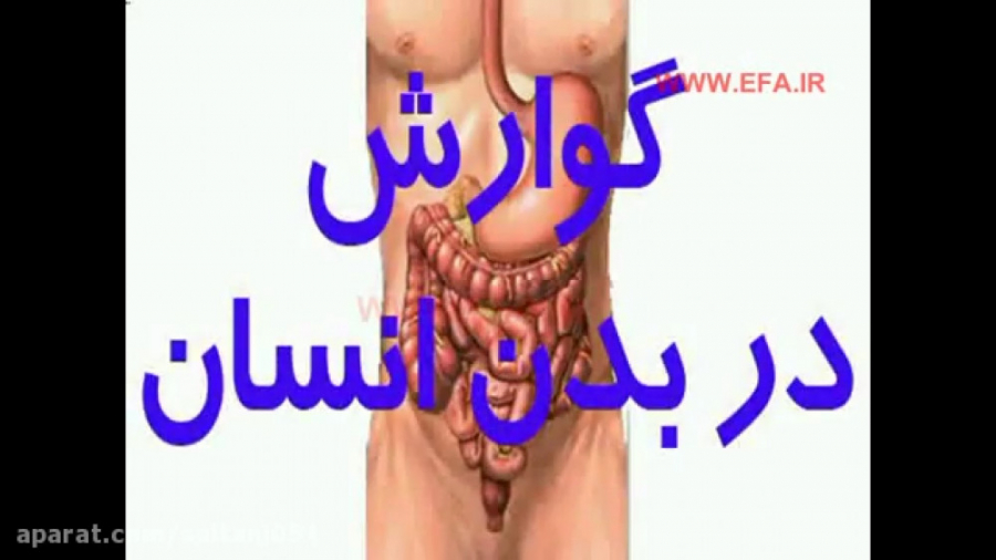 پایه هفتم (دستگاه گوارش) برداشتن خال