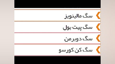 سگ نگهبان و گارد (مرجع نیازمندیهای سگهای نگهبان) زمان50ثانیه