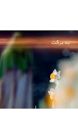 درباره امام زمان(عج)