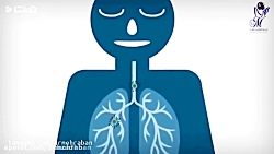 دانستنی_های_خیلی_مهم_در_مورد_و...