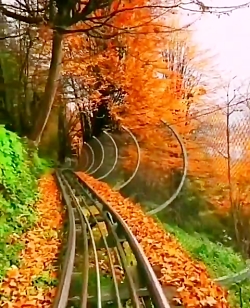 زندگی زیباست، زندگی کن