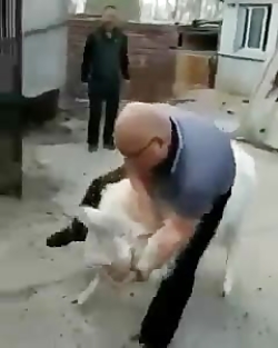 واااای ترکیدم عالیه این