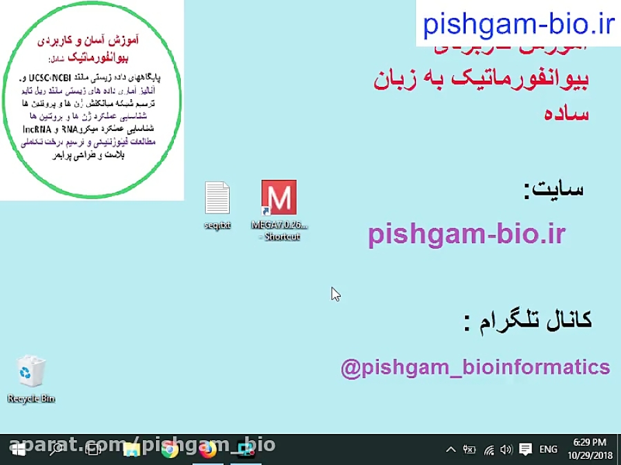 آموزش ترسیم درخت فیلوژنتیکی با نرم افزار مگا 10