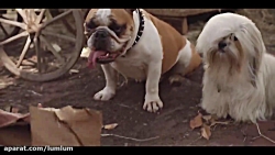 فیلم بانو و ولگرد 2019 Lady an...