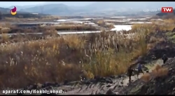 فیلم ایرانی پنجره ( فالو کنید...