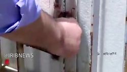 کمجا و پرسود، پرورش ماهی زینتی