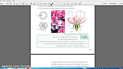 ویدیو آموزش تولید مثل جنسی گیاهان نهاندانه زیست یازدهم