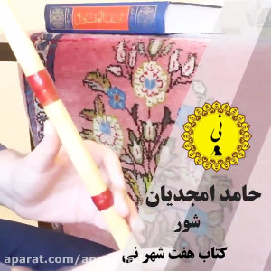 نی نوازی در دستگاه شور (کتاب ه...