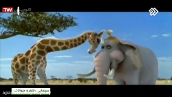 فیلم سینمایی :: قلمرو حیوانات