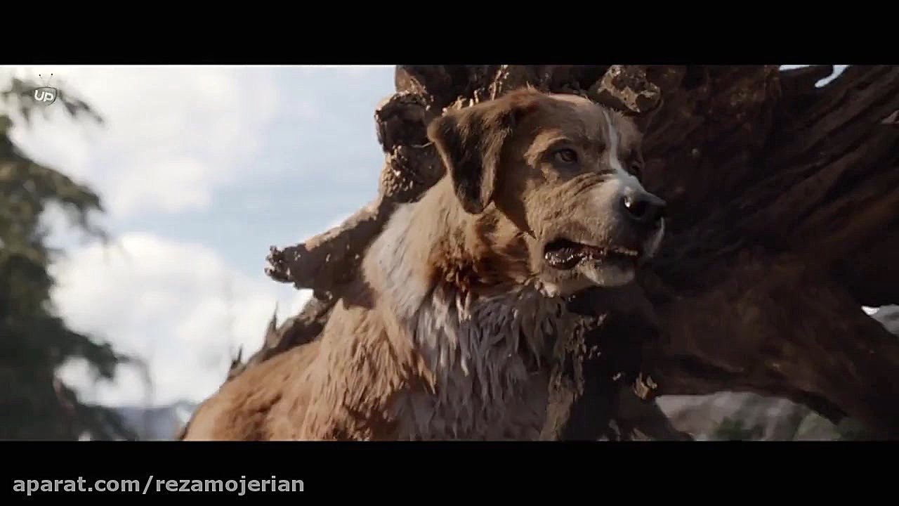 فیلم The Call of the Wild 2020 آوای وحش با زیرنویس فارسی زمان5980ثانیه