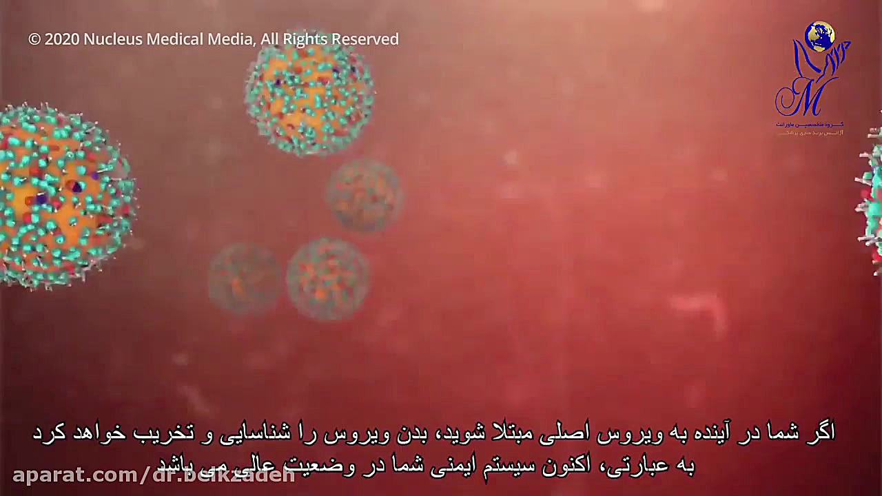 نحوه حمله ویروس کرونا به سیستم ایمنی بدن(2) دکتر مژگان بیک زاده ( جراح و متخصص زنان و زایمان)