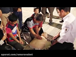 برنامه آموزش همگانی احیا در اص...