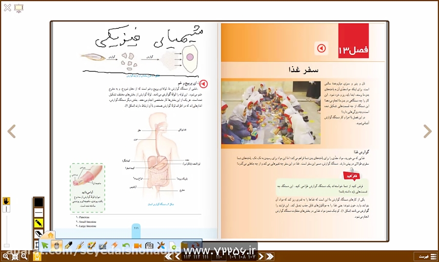 علوم هفتم حل سوالات کتاب