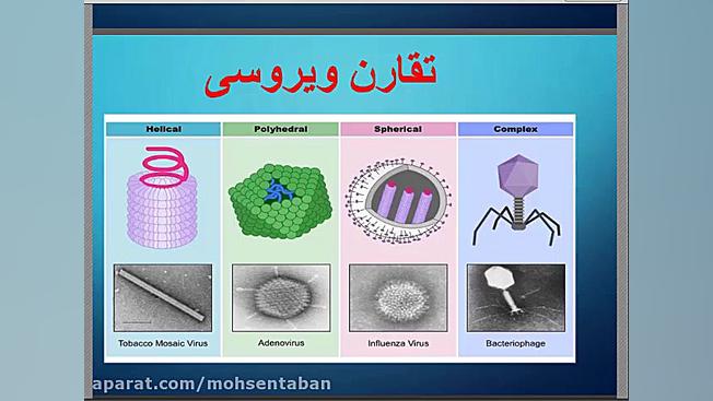 جلسه دوم تدریس مجازی ویروس شناسی دکتر پوست