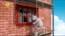 قسمت ۸۳  برنارد  شبکه پویا