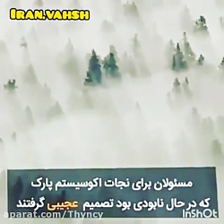 کلیپ شکار حیوانات  حیوانات وحش...