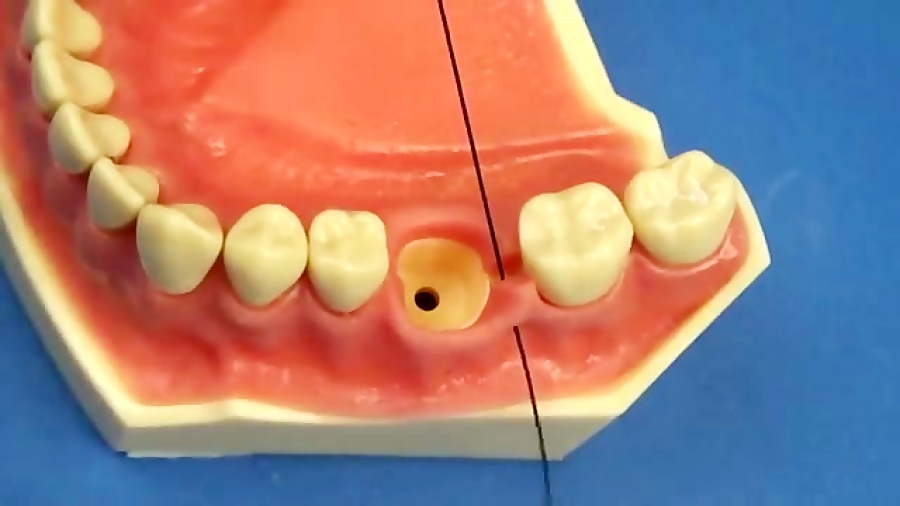 باکال دکتر سهیل سالاری