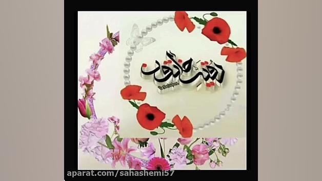 تولد حضرت رقیه مولودى افغانى سید على هاشمى شیراز سید علی هاشمی