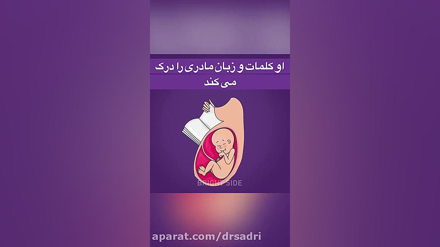 آیا جنین در شکم مادر احساسات دارد؟ | سونوگرافی دکتر حسین صدری دندانپزشک زیبایی