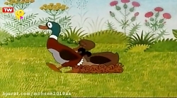 قسمت ۷۸  مول  شبکه پویا