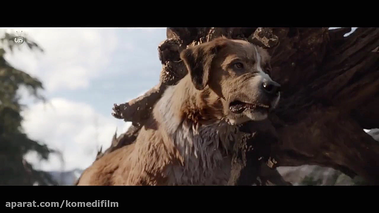 فیلم The Call of the Wild 2020 آوای وحش با زیرنویس فارسی  زمان5980ثانیه