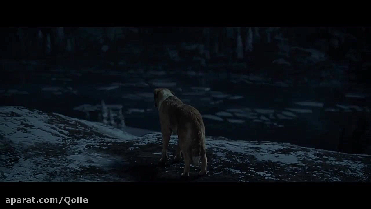 انیمیشن آوای وحش The Call Of The Wild 2020 زمان5980ثانیه