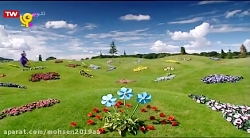 قسمت ۶۲  توپولوها  شبکه پو