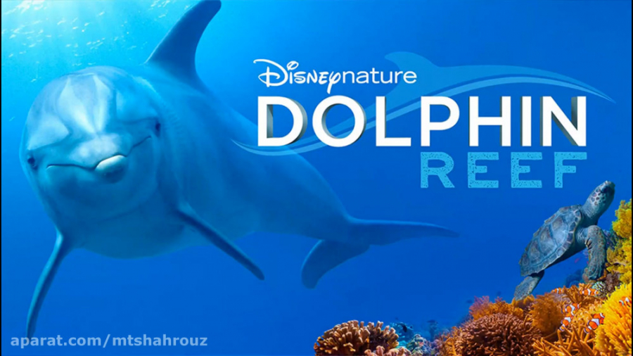 مستند صخره دلفین Dolphin Reef 2020 دوبله فارسی زمان4622ثانیه