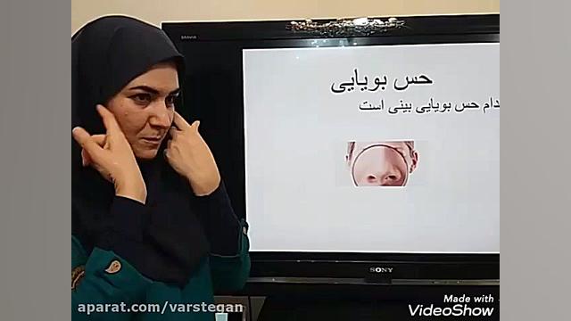آموزش علوم حس بویایی و چشایی قسمت دوم میکرونیدلینگ