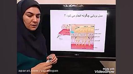 آموزش علوم حس بویایی و چشایی قسمت سوم برداشتن زگیل