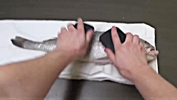 چطور یک ماهی را از مرگ نجات ده...