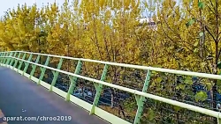 آموزش تکنیکهای عکاسی با گوشی...