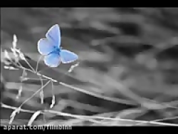 دکتر الهی قمشه ای  سکوت