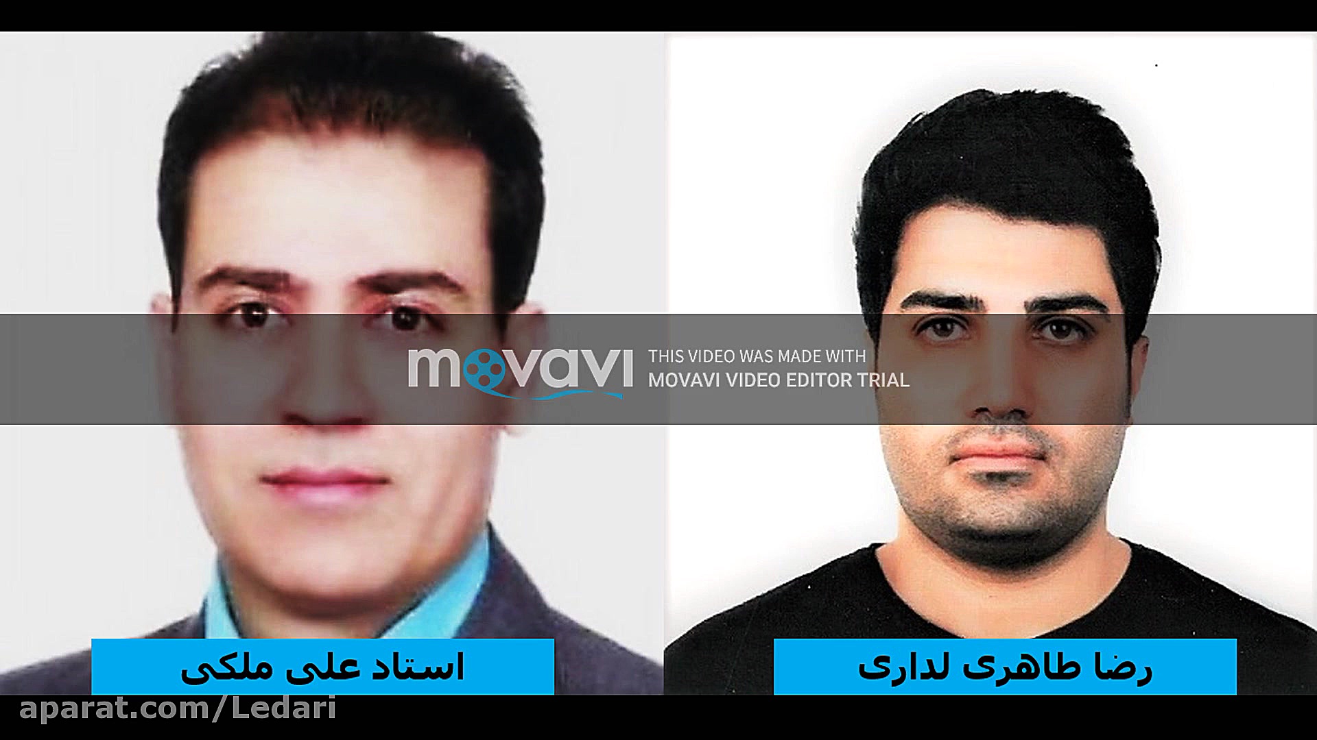 دارو رسانی هدفمند با نانوذرات مغناطیسی هیبریدی ساندرا بولاک