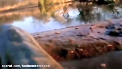 مستند راز بقا... حیات وحش