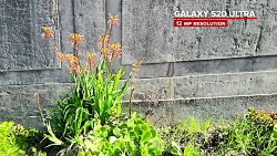 مقایسه دوربین ایفون 11 پرو مکس...